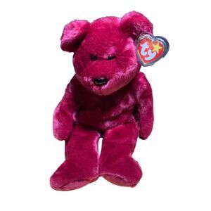 Teddy the Beanie Baby Cranberry Bear 1998 w/ tag protector